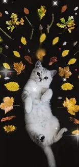 Playful cat surrounded by autumn leaves on a dark background.