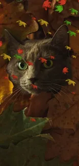 Cat peeks through vibrant autumn leaves, creating a cozy mobile wallpaper.