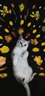 Playful cat surrounded by autumn leaves on a dark background.