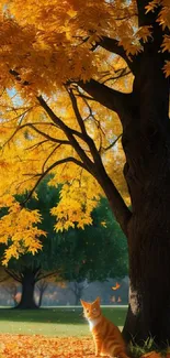 Orange cat under a golden autumn tree with leaves falling.