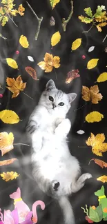 Playful kitten surrounded by autumn leaves on a black background wallpaper.