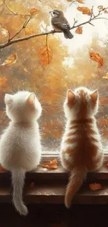 Two kittens watching a bird through a window with autumn leaves.