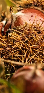 Close-up of chestnut in spiky shell on a nature-themed background.