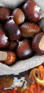 Burlap sack of chestnuts surrounded by autumn leaves.