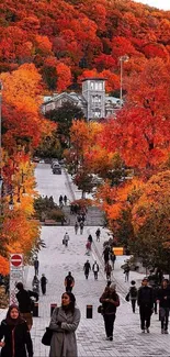 Vibrant autumn cityscape with colorful foliage and bustling street.