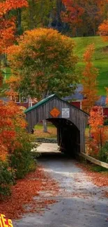 Autumn scene with bridge and vibrant foliage in nature setting.