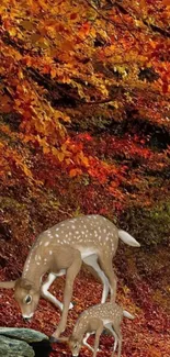 Deer in an orange autumn forest with vibrant leaves.