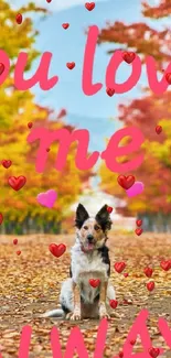 Cute dog with love message on autumn path.