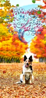 Dog sitting on an autumn leaf path with vibrant fall foliage.