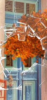 Orange leaves framed by cracked glass on vintage door.