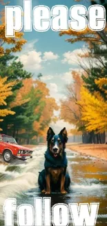 Dog on water path with vintage car and autumn trees.