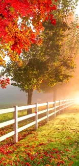 Autumn scene with red leaves and a white fence.