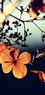 Elegant dark wallpaper with autumn flowers.