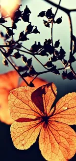 Delicate autumn leaf with orange petals and intricate veins on mobile wallpaper.