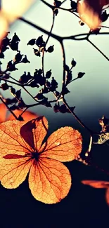 Close-up of an autumn flower with warm orange tones and intricate details.