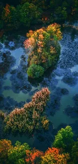 Aerial view of a vibrant autumn forest reflecting in tranquil waters.