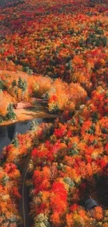 Aerial view of a colorful autumn forest with a river winding through.