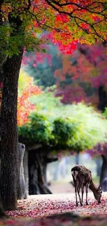 Deer in vibrant autumn forest with colorful leaves and serene atmosphere.