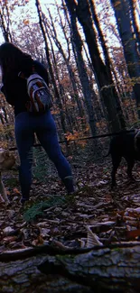 Woman walking dogs in an autumn forest.