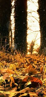 Golden autumn forest scene with sunlight filtering through trees.