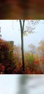 Serene autumn forest with mist and vibrant fall foliage background.