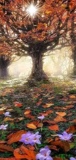 Autumn forest with sunlight filtering through trees and fallen leaves.