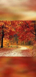 Autumn forest with vibrant red leaves and a winding path, perfect for mobile wallpaper.