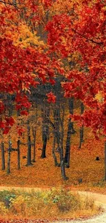 Vibrant autumn forest with red leaves and a winding path.