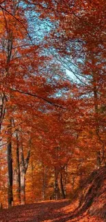 Vibrant autumn forest with orange leaves.