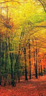 Vibrant autumn forest path with colorful leaves.