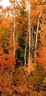 Autumn forest with golden foliage, perfect for mobile wallpaper.