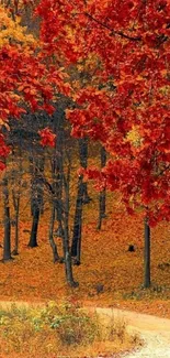 Autumn forest with red leaves and winding path wallpaper.