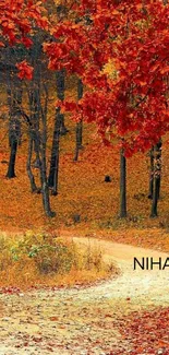 Vibrant autumn forest wallpaper with red leaves.