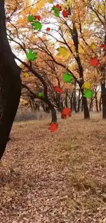 Scenic autumn forest with falling leaves in vibrant colors.