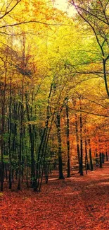 Vibrant autumn forest path with colorful foliage.