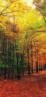 Vibrant autumn forest with colorful leaves and a serene pathway.