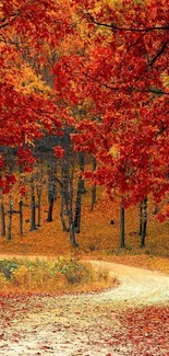 Vibrant autumn forest with red-orange foliage and winding path.