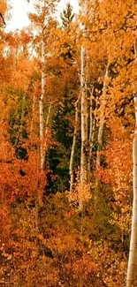 Autumn forest with vibrant orange trees and leaves, ideal for mobile wallpaper.