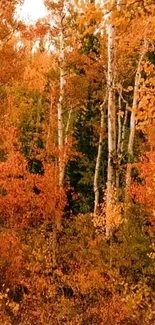 Vibrant autumn forest with golden leaves.