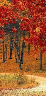 Scenic autumn forest path with vibrant red leaves.