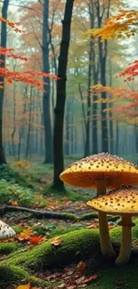 Mushrooms in an autumn forest with colorful trees and foliage.