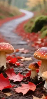 Autumn forest path with mushrooms and red leaves.