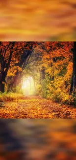 A scenic autumn path with vibrant orange leaves under a canopy of trees.