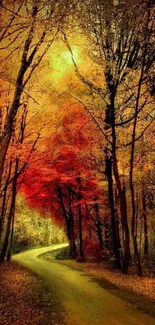 Autumn forest path with vibrant leaves and a winding trail.