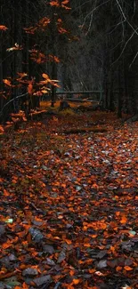 A peaceful forest path covered in orange autumn leaves.