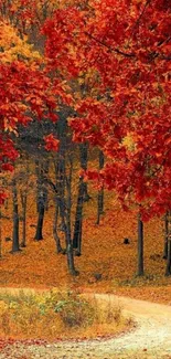 Autumn forest path with vibrant red foliage and winding trail.