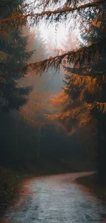 Serene autumn forest path with orange foliage and misty atmosphere.