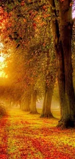 Serene autumn forest path with vibrant fall foliage.