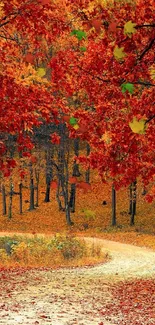 Autumn forest path with red foliage and winding trail.