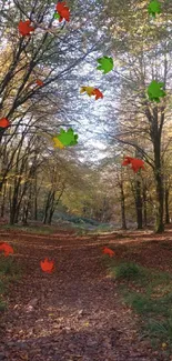 Autumn forest path with sunlight filtering through the trees.